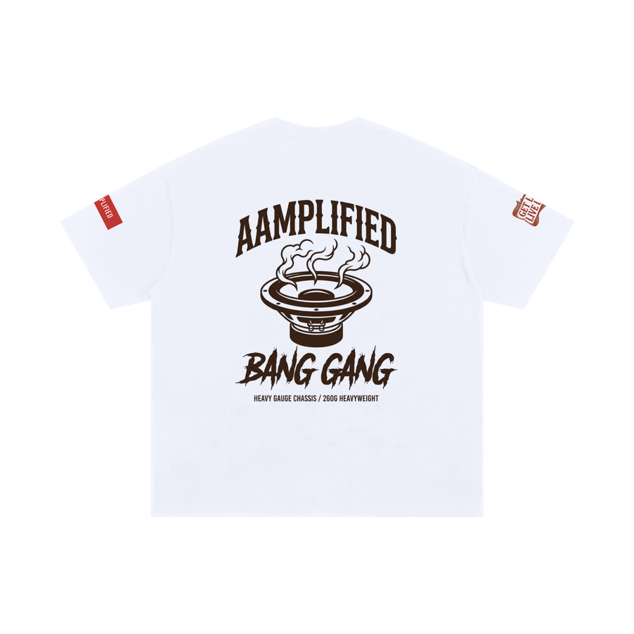 AAMPLIFIED Up In Smoke SMR v2