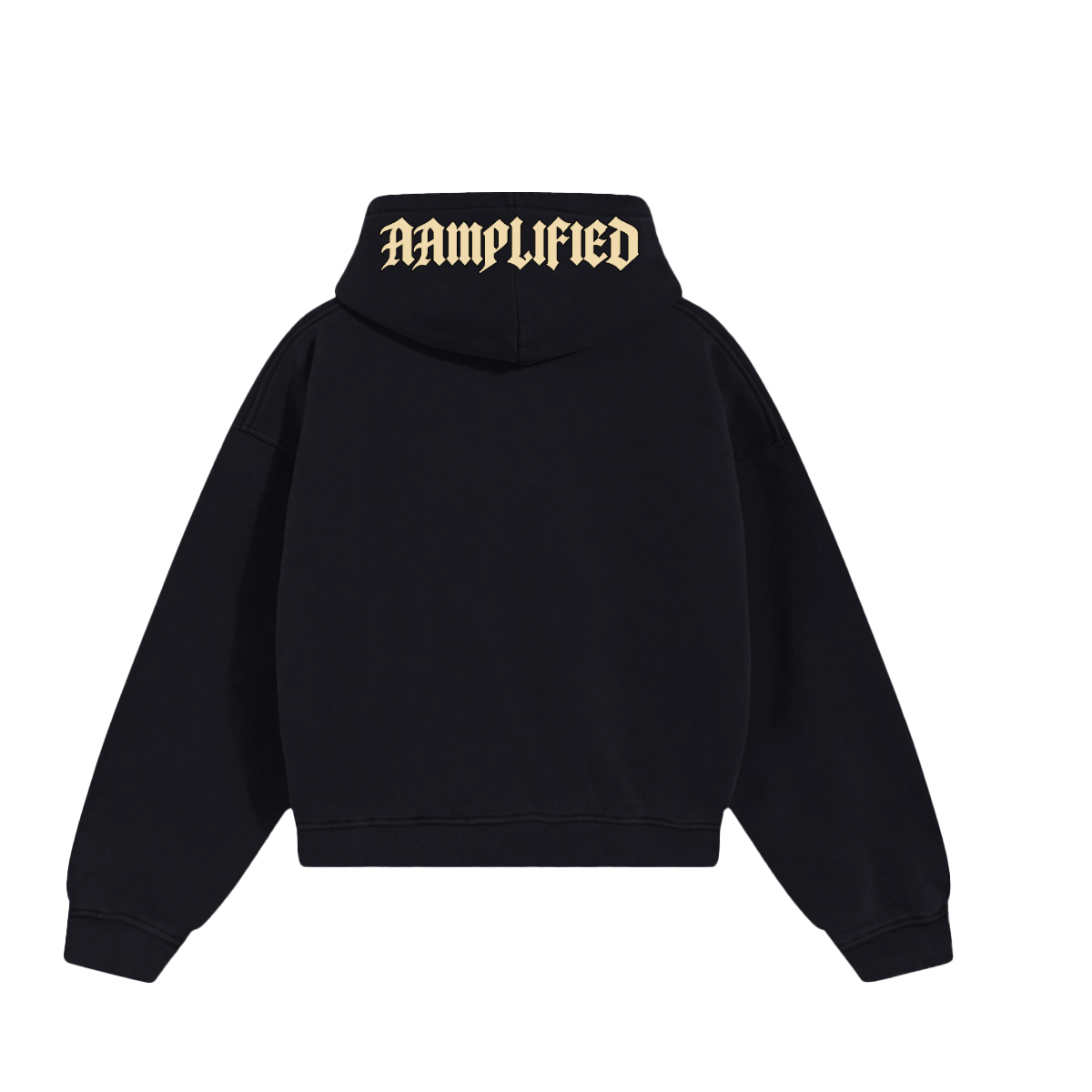 Bang Gang Bass Bolt heavyweight hoodie back on pure white background